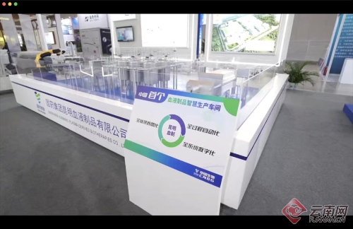 云南科技头条回顾 2024年上半年创新浪潮涌动，高原特色科技生态加速成形